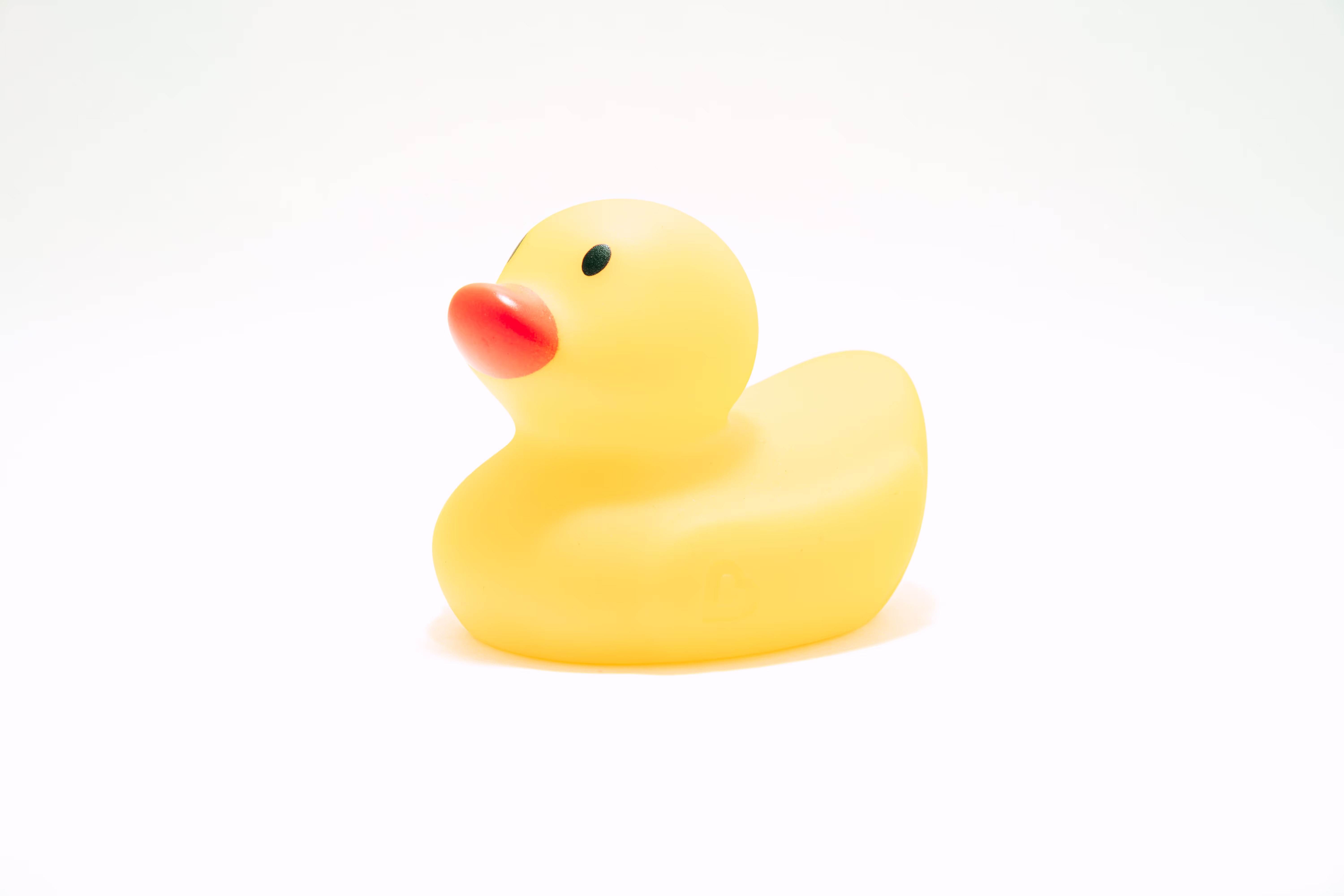 Rubberus Duckus